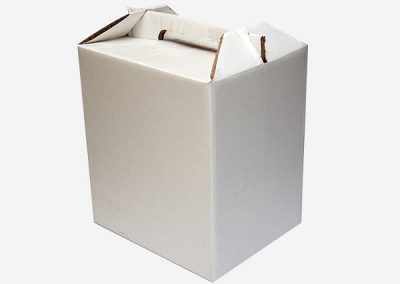 Caja tipo Maletin